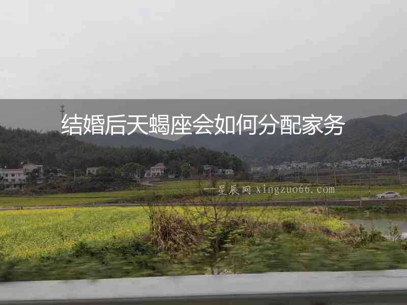 結婚后天蝎座會如何分配家務