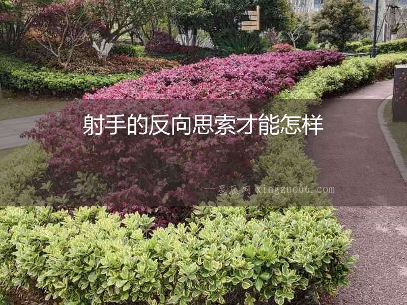 射手的反向思索才能怎樣