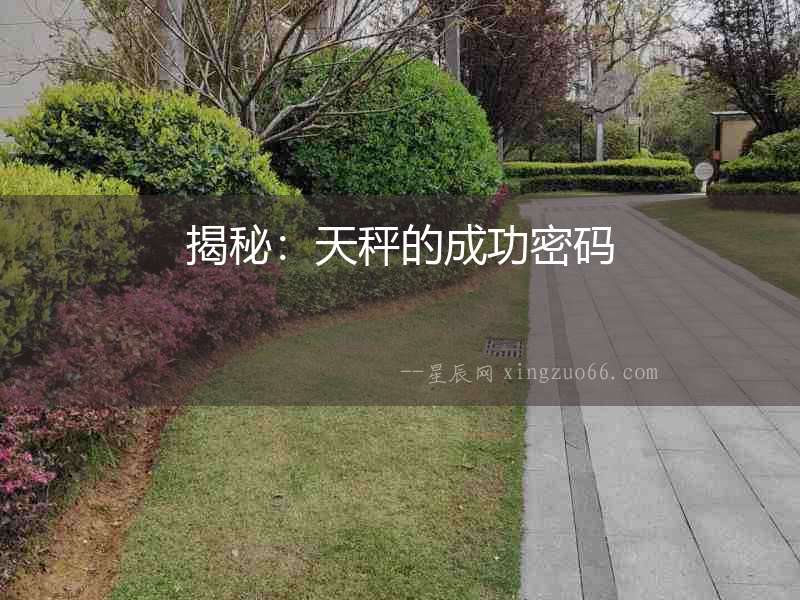 揭秘：天秤的成功密碼