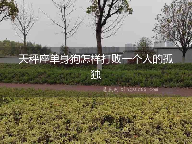 天秤座單身狗怎樣打敗一個人的孤獨