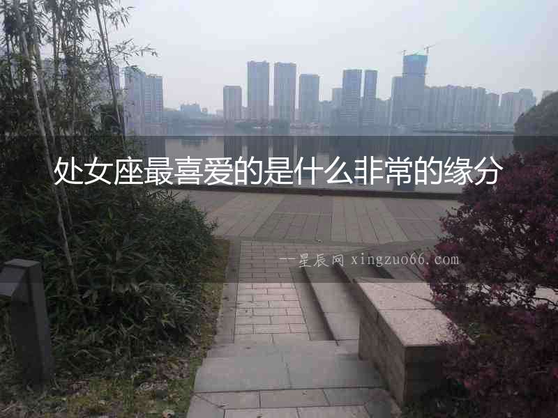 處女座最喜愛的是什么非常的緣分