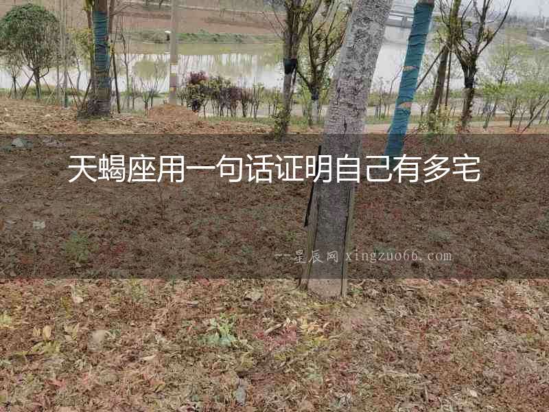 天蝎座用一句話證明自己有多宅