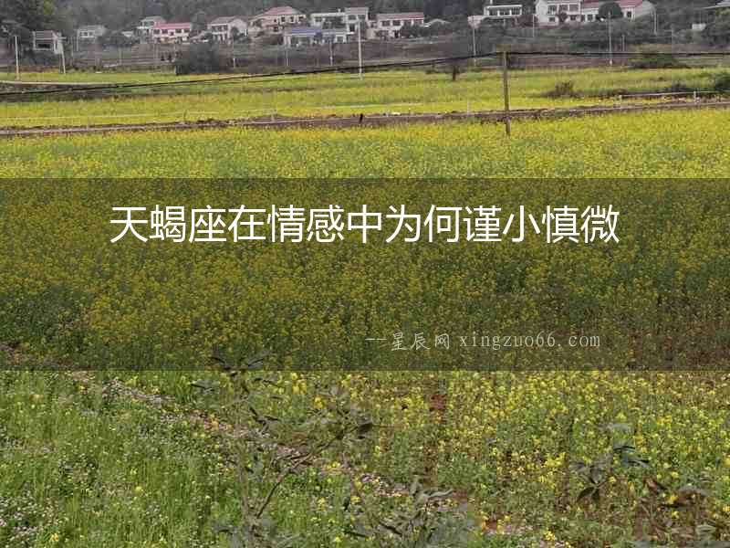 天蝎座在情感中為何謹小慎微