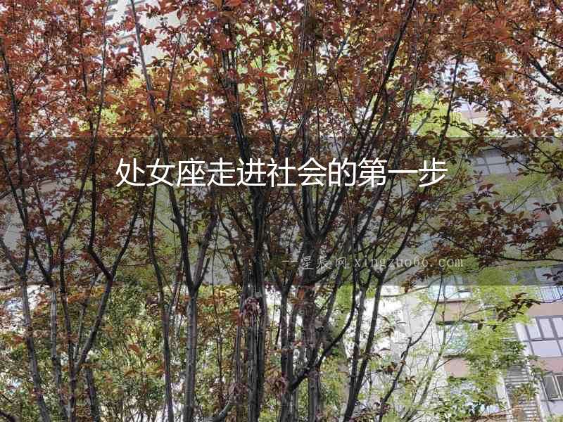 處女座走進社會的第一步