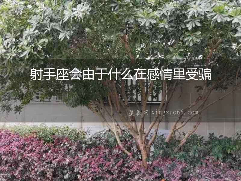射手座會由于什么在感情里受騙