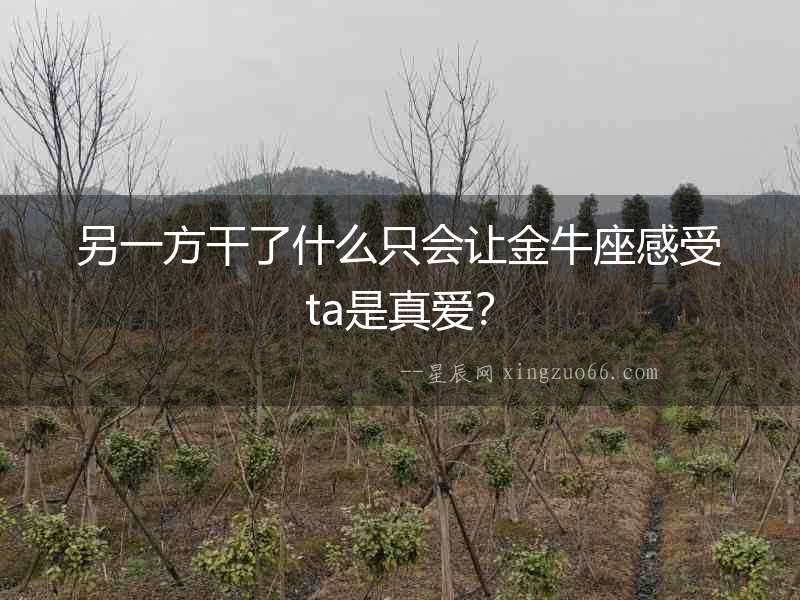另一方干了什么只會讓金牛座感受ta是真愛？