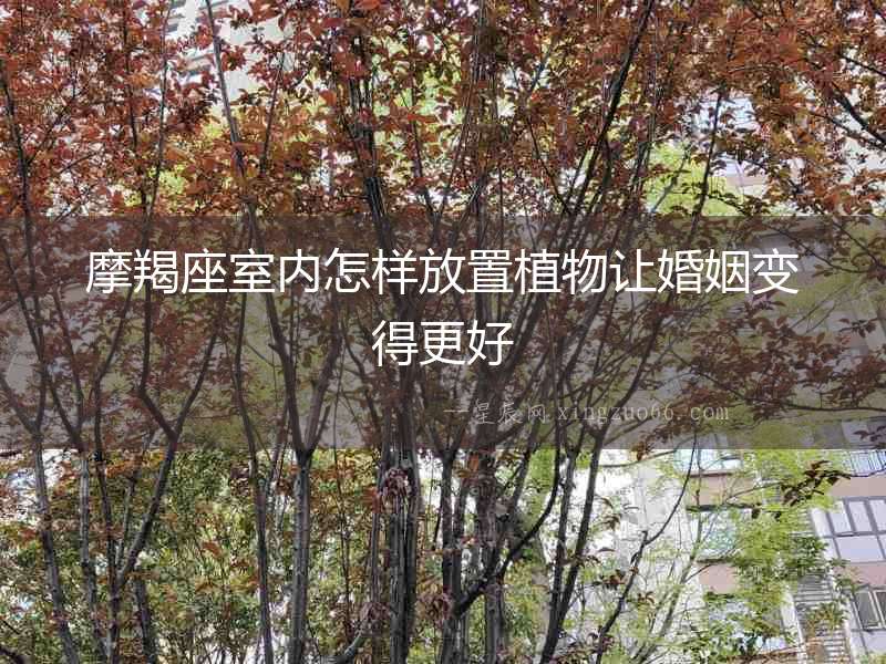 摩羯座室內(nèi)怎樣放置植物讓婚姻變得更好
