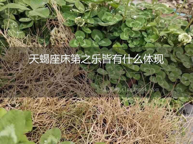 天蝎座床第之樂(lè)皆有什么體現(xiàn)
