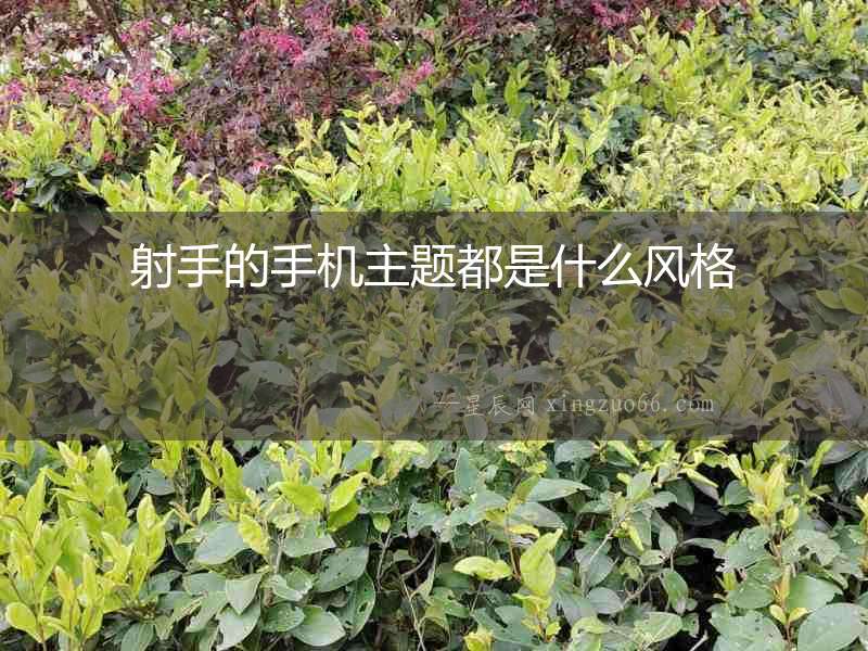 射手的手機主題都是什么風格