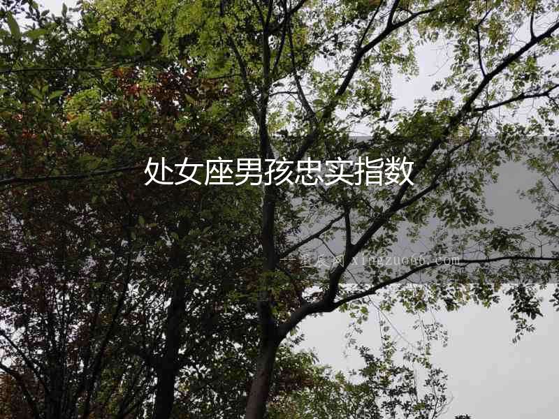 處女座男孩忠實指數(shù)