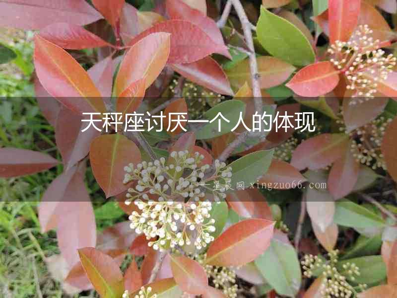 天秤座討厭一個人的體現
