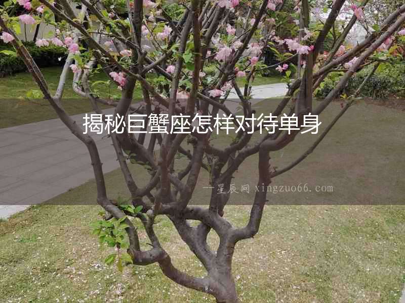 揭秘巨蟹座怎樣對待單身