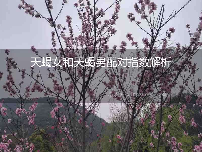 天蝎女和天蝎男配對指數解析