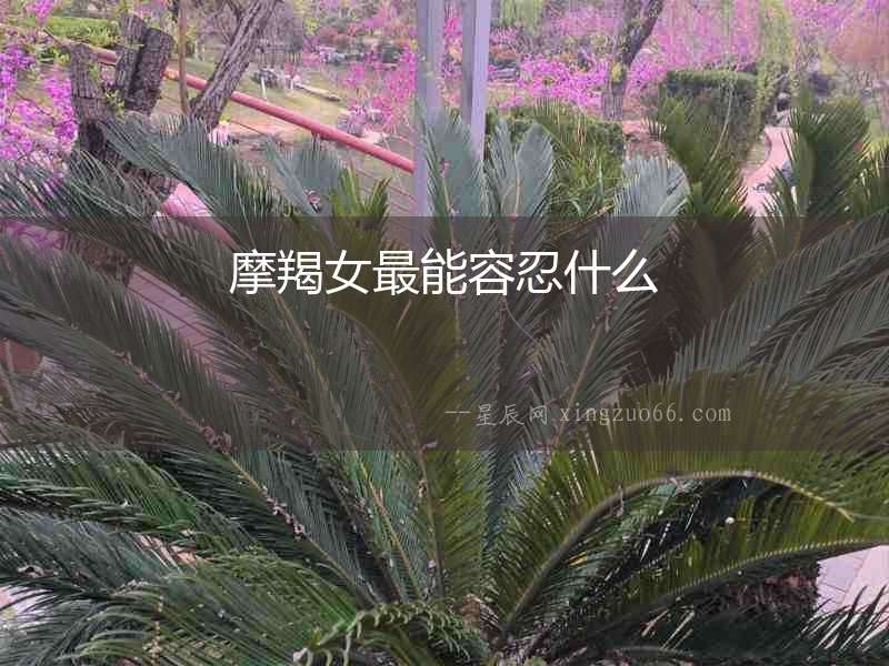 摩羯女最能容忍什么