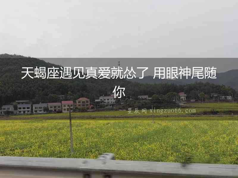 天蝎座遇見真愛就慫了 用眼神尾隨你