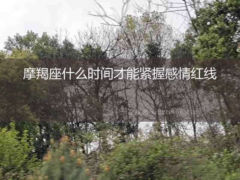 摩羯座什么時間才能緊握感情紅線