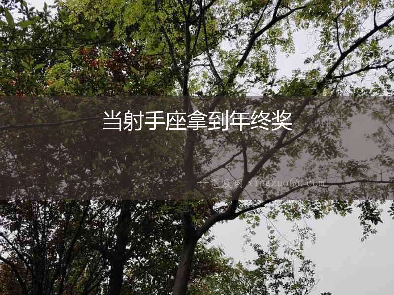 當射手座拿到年終獎