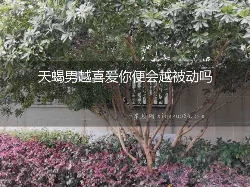 天蝎男越喜愛你便會越被動嗎