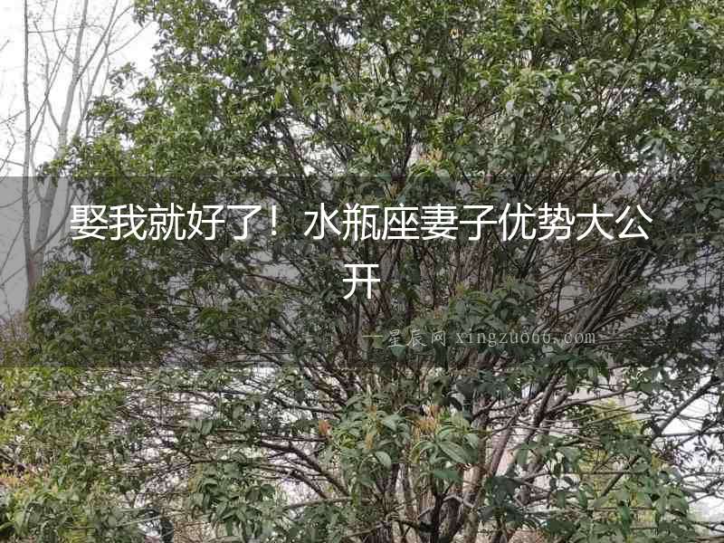 娶我就好了！水瓶座妻子優勢大公開