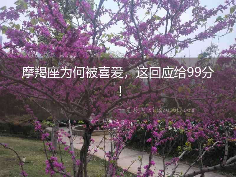 摩羯座為何被喜愛，這回應(yīng)給99分！