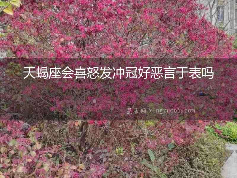 天蝎座會喜怒發沖冠好惡言于表嗎