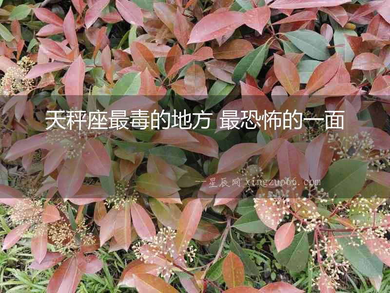 天秤座最毒的地方 最恐怖的一面