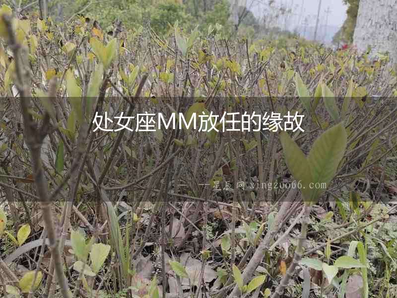 處女座MM放任的緣故