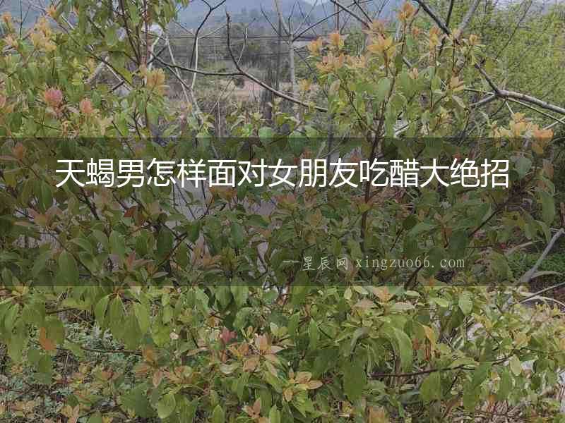 天蝎男怎樣面對女朋友吃醋大絕招