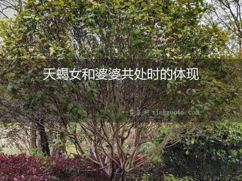 天蝎女和婆婆共處時的體現