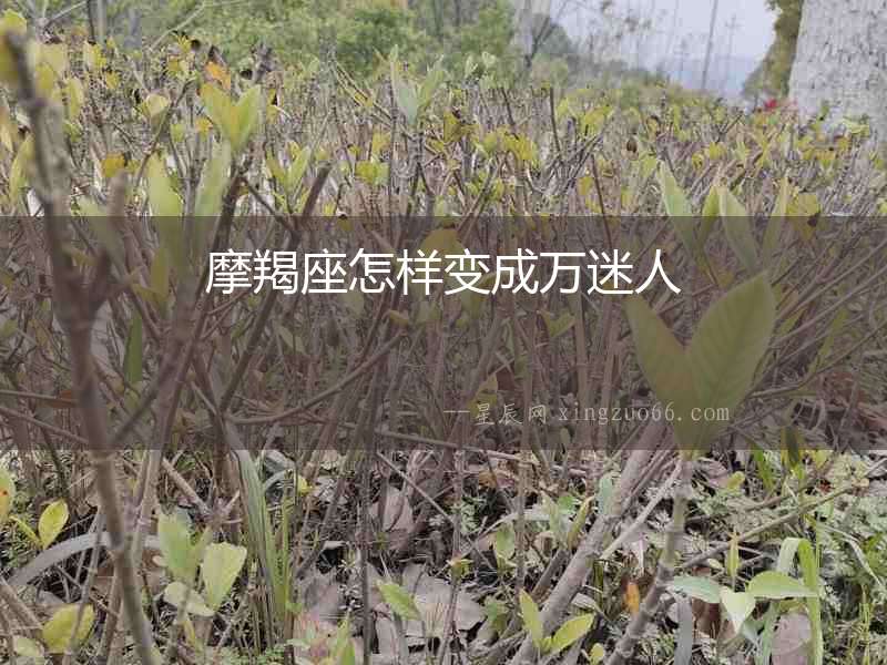 摩羯座怎樣變成萬迷人