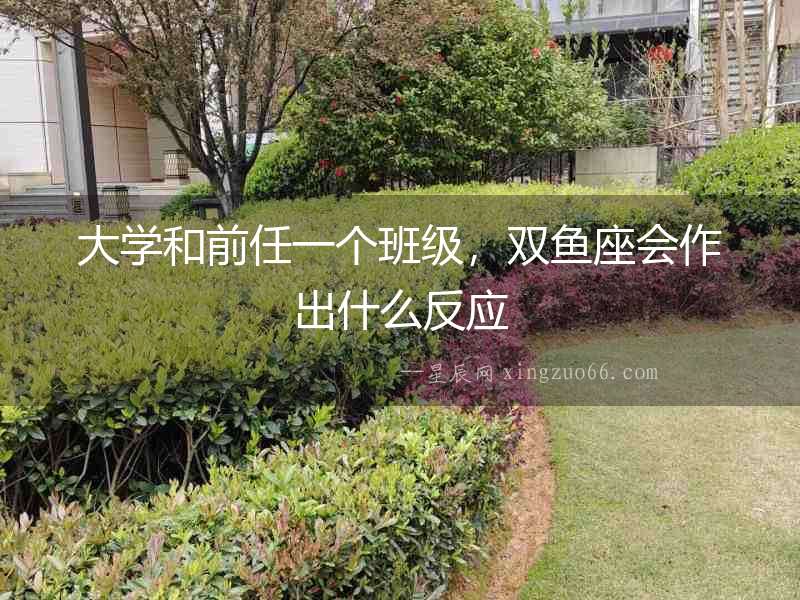大學和前任一個班級，雙魚座會作出什么反應