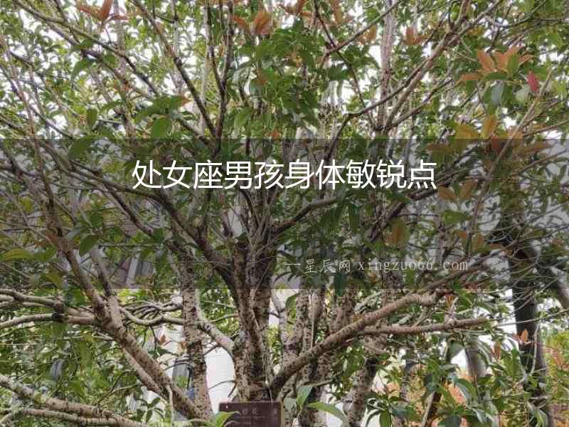 處女座男孩身體敏銳點