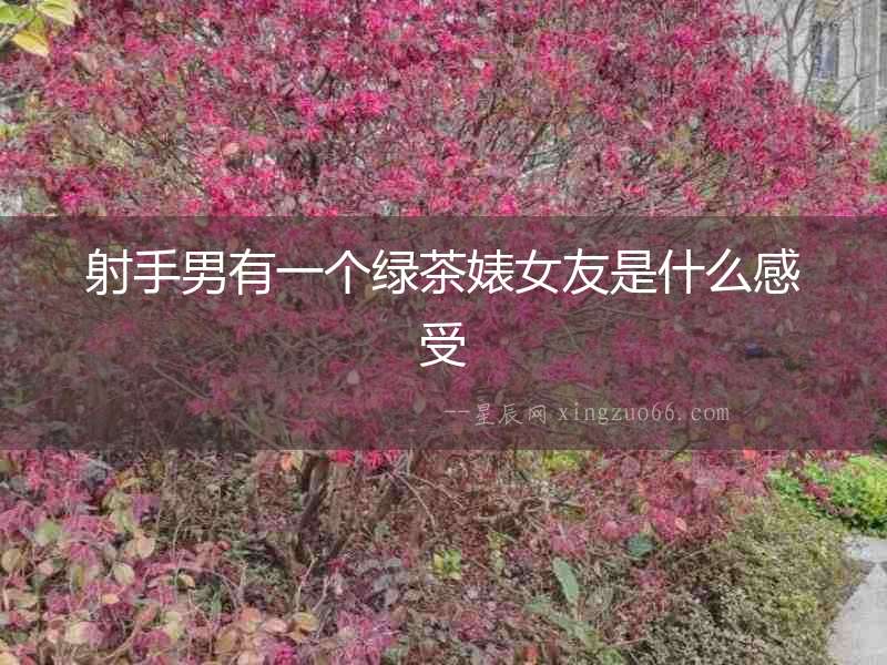 射手男有一個綠茶婊女友是什么感受