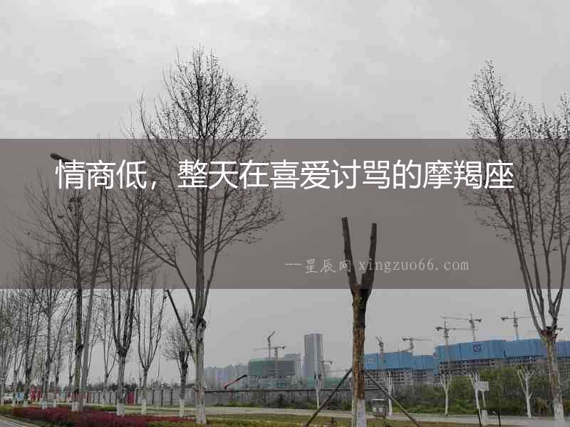 情商低，整天在喜愛討罵的摩羯座