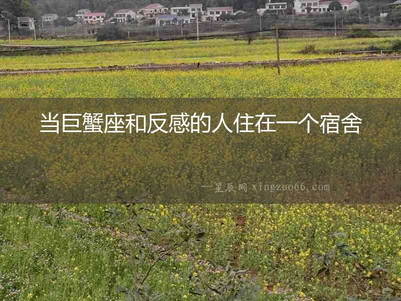 當巨蟹座和反感的人住在一個宿舍