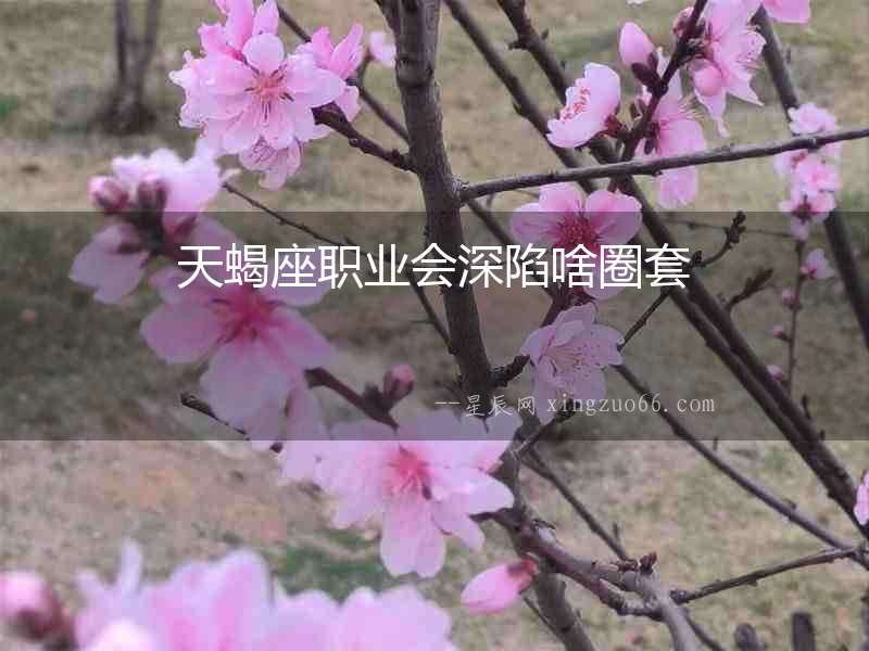 天蝎座職業會深陷啥圈套