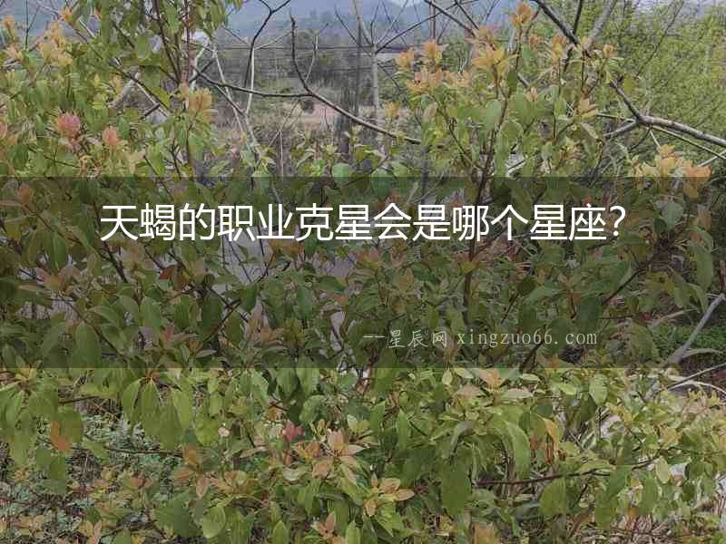 天蝎的職業克星會是哪個星座？