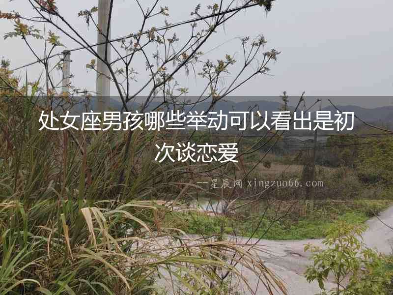處女座男孩哪些舉動可以看出是初次談戀愛
