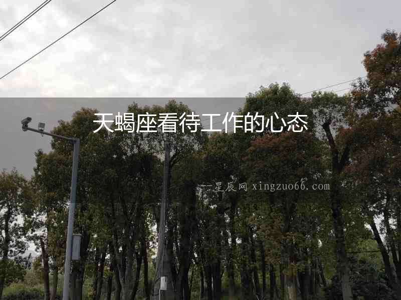 天蝎座看待工作的心態