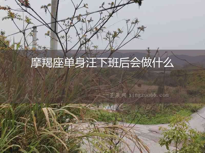 摩羯座單身汪下班后會做什么