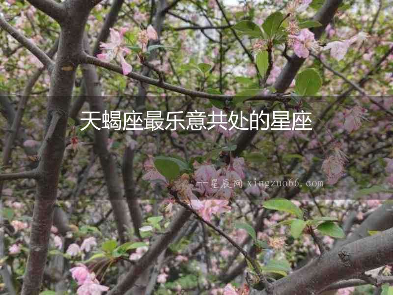 天蝎座最樂(lè)意共處的星座