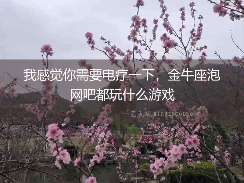 我感覺你需要電療一下，金牛座泡網吧都玩什么游戲