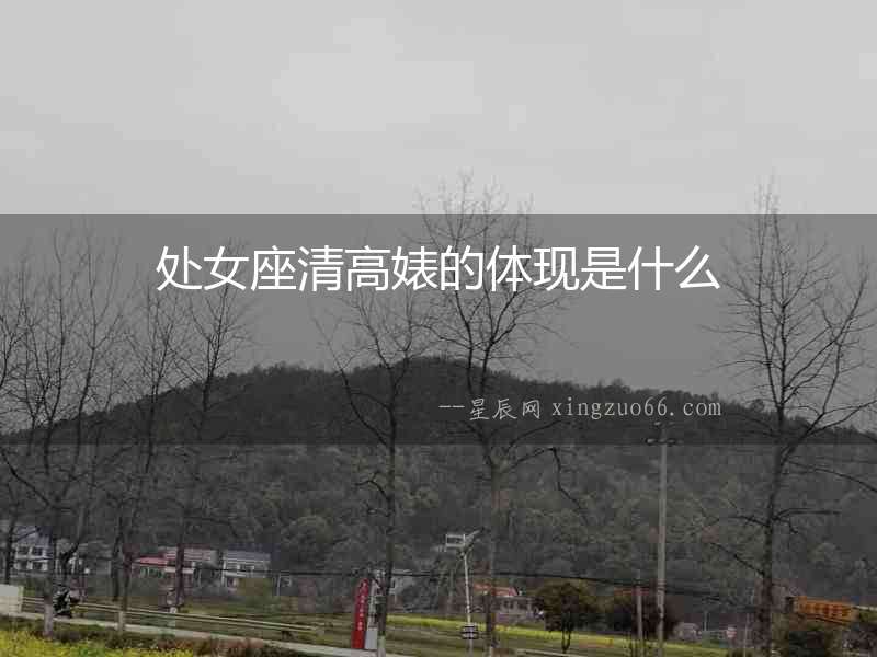 處女座清高婊的體現是什么