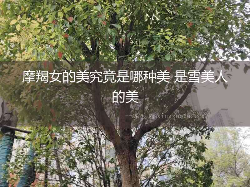 摩羯女的美究竟是哪種美 是雪美人的美