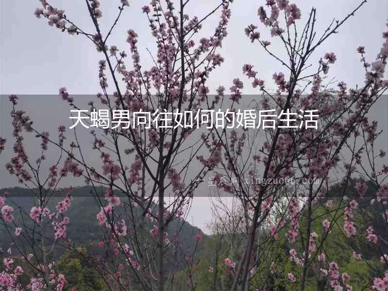 天蝎男向往如何的婚后生活