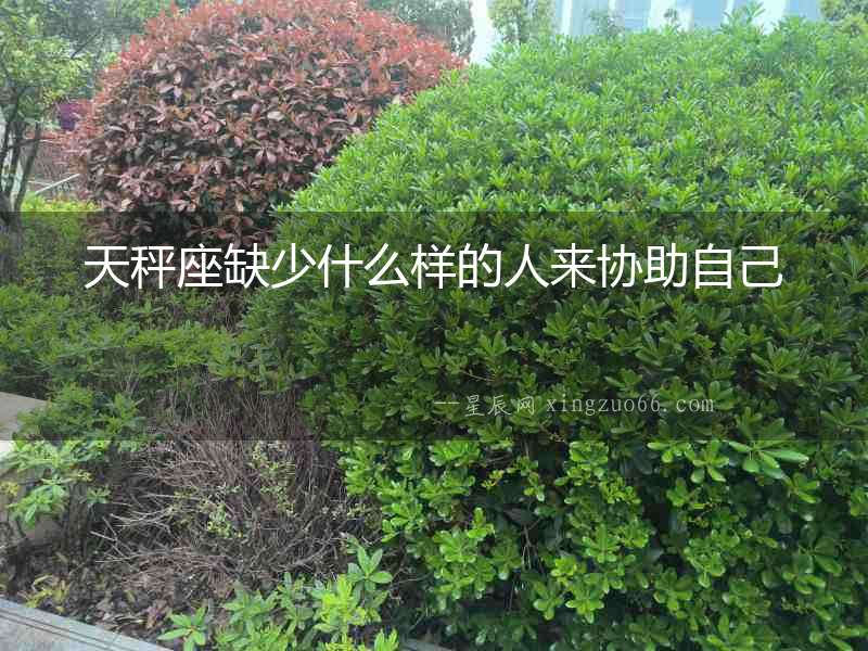 天秤座缺少什么樣的人來協助自己