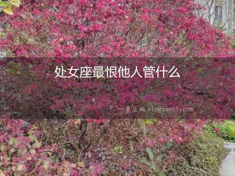 處女座最恨他人管什么