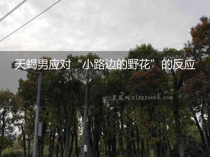 天蝎男應對“小路邊的野花”的反應