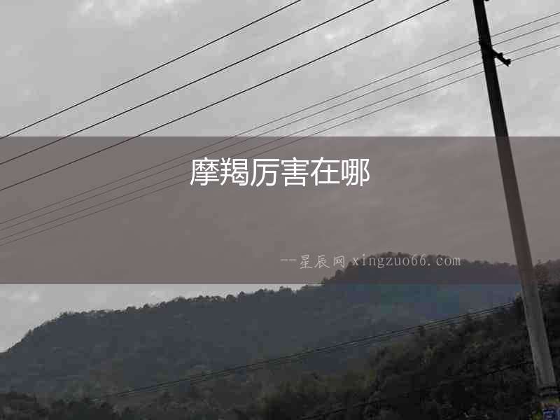 摩羯厲害在哪