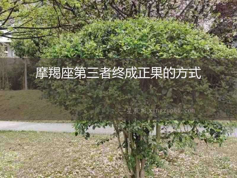 摩羯座第三者終成正果的方式